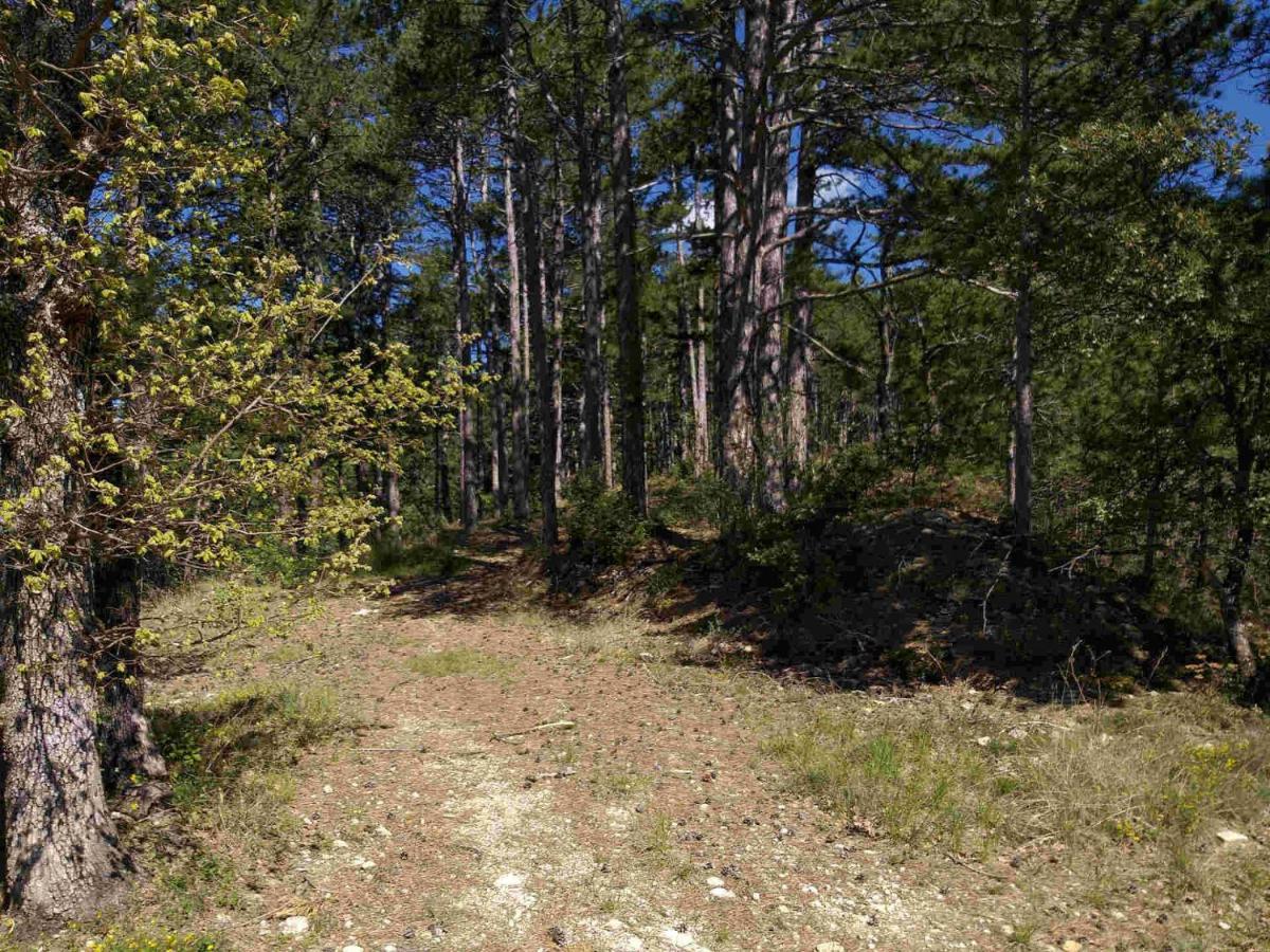 Les Chalets De Saint Maurice Dieulefit Kültér fotó
